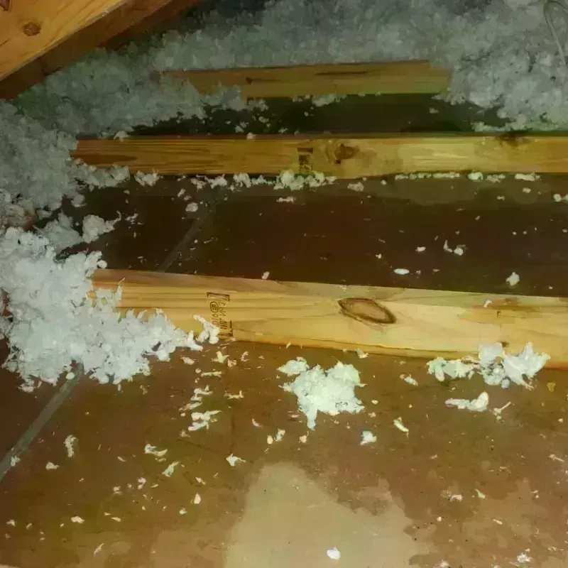 Attic Water Damage in Jersey City, NJ