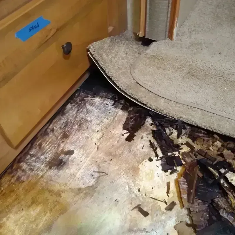 Wood Floor Water Damage in Jersey City, NJ